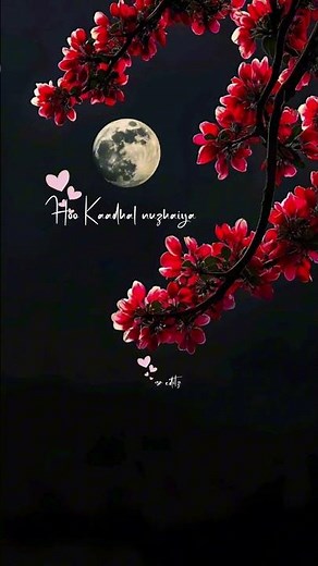 ♥️..🦋..Manjal Poosum Song lyrics □ #kutty #sreditz #edit #lyrics #foryou