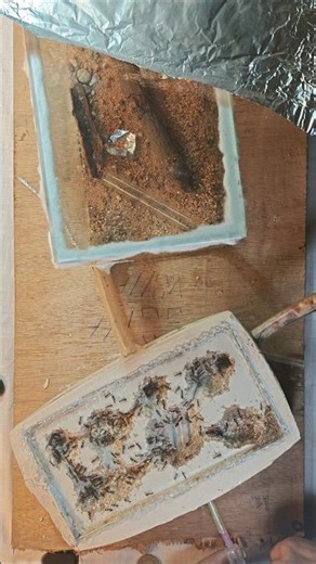 Applying Barrier 🐜❌ | Most Important Ant Colony Safety Step | Ant Keeping #shorts #antkeeping 🤯🔥