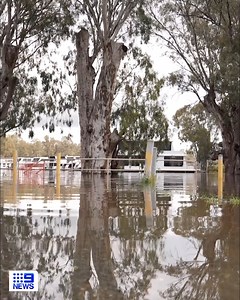 The Murray River on the VIC and NSW border is about to break a nearly 30-year record as residents on either side wait anxiously. Multiple evacuation orders are in place across the two states but fears for Echuca in northern Victoria, Moama in southern NSW, and Moree in northern NSW are high. DETAILS: https://nine.social/ep #9News | WATCH LIVE 6pm | 9 News Melbourne