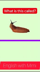 “Learn the names of everyday kitchen ingredients — Can you identify what each one is called in English?” #englishlearning #quiz #englishwithmimi #highlights #English #study #everyone | English with Mimi