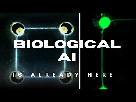 The First Biological AI Is Already Here