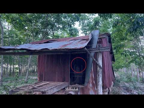 Haunted Abandoned House in Rubber Plantation - Everything Still Left Inside