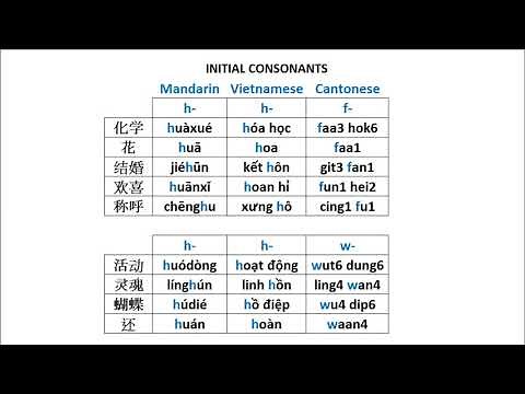 Phonology Comparison | Mandarin VS Vietnamese VS Cantonese