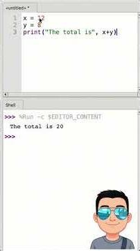How does Python remember things? Can we save information so we do not type it again? (Variables)