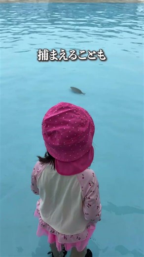 【三重】穴場すぎ！魚と遊べる水族館