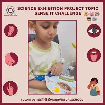 🧠👃👂 Science Exhibition Project: Sense It Challenge ✋👀✨