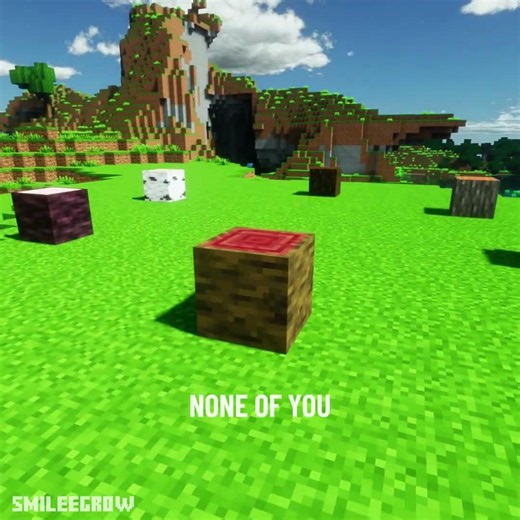 Which is the best Wood type in Minecraft? 🪵 #minecraft #shorts