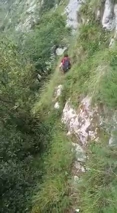 Senderu Los Molinos. Desfiladero de La Hermida. Se observa el paso por encima de los laureles colgados, que en cierta medida te aminoran la sensación de vacío a los pies. (Con riña incluida😉). | Pucavi Picos de Europa Vericuetos de pastores.