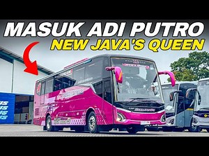 PICK UP THE NEW BUS TO ADI PUTRO‼️😱- NEW BUS RELEASE ANEKA BINTANG JAVA’S QUEEN!!!