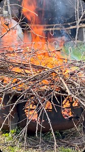 1.9K views | Burn baby burn disco inferno | Peter Caine Dog Training | Facebook