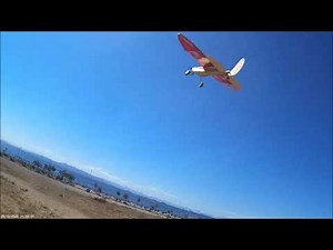 yard bee rc airplane by Clancy aviation