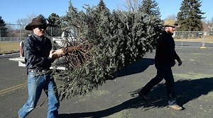 Where to buy a Christmas tree in Fort Collins and Northern Colorado