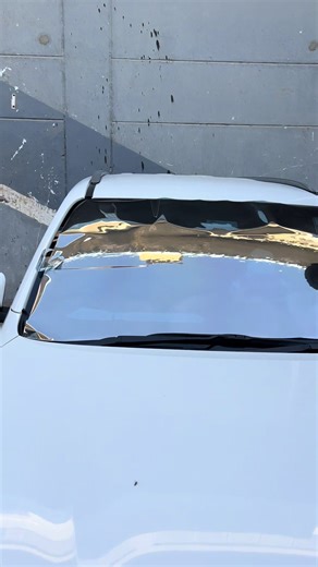 #highlight #vairal # silver tint #