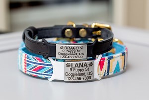 Custom Engraved Steel Pet ID Tags, Personalized Slide on Pet ID Tag Dog Collars, Dog Name Tag, Personalized Slide on Dog ID Tag, Cat Tag - Etsy