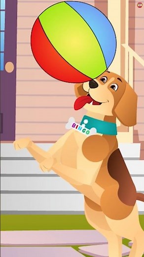 Bingo The Dog Song @ZingyKidz