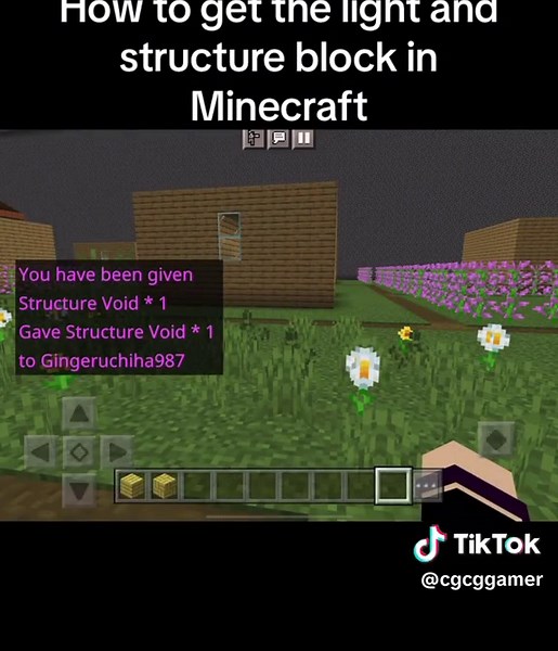 #tutorial #minecraft #minecraftbuilding #minecraftcastles #hacks