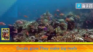 【全球最顶尖的少儿科普读物】《国家地理少儿版pre-reader》视频全集-通过真实画面展示给孩子不一样的英语启蒙