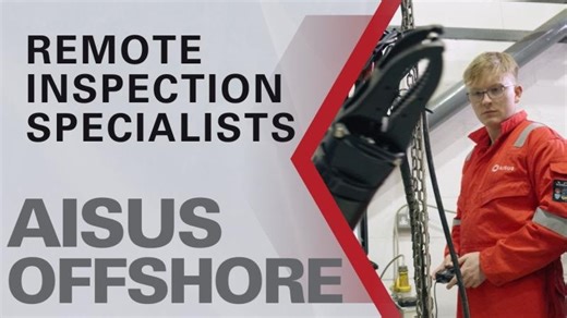 AISUS: Inspection Specialists - Minimising Risk, Maximising Value | Graeme William McNay