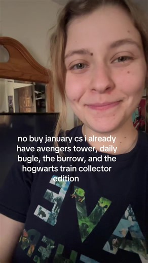 Celebrating My LEGO Collection: Marvel and Harry Potter Sets