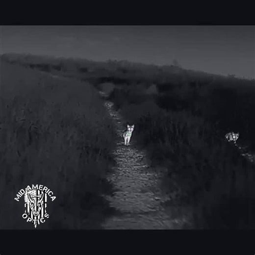 Mid America Optics on Instagram: "They just don’t make em like they used to… IRay is looking crispy!"