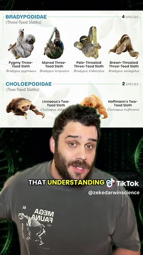 Understanding Evolution Through Natural and Artificial Selection