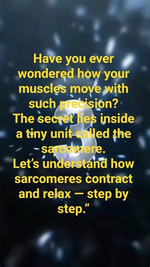 💪😊How Muscles Contract & Relax? | Sarcomere Mechanism #Sarcomere#SlidingFilamentTheory#Physiology