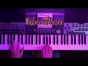 Moonflower / Flor d'Luna