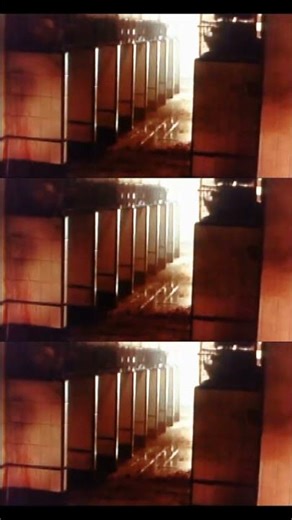 Alien Dogulus - The Alien 3 Pooch