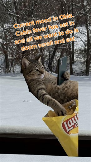 #MemeCut #Meme #snow #oklahomaweather #cabinfever