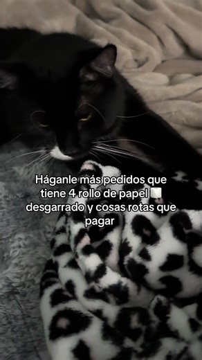 How to Repair Torn Paper Roll Ideas