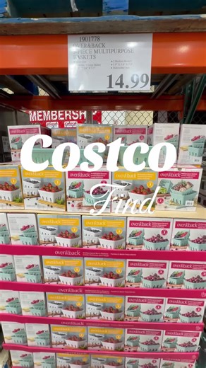 Perfect Multipurpose Baskets from Costco for Organizing