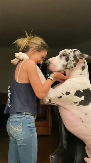 These two have been smooching since day one 💋 #puppylove