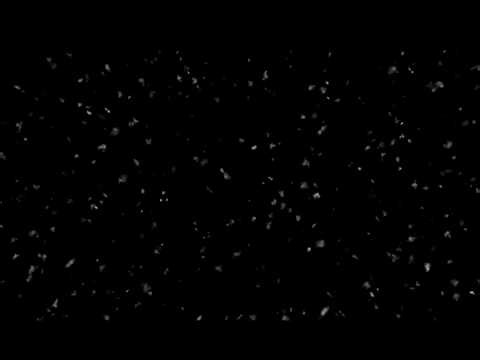 Seamless Moving Snow Loop ❄️ Blizzard Wind | Black Screen for Sleep