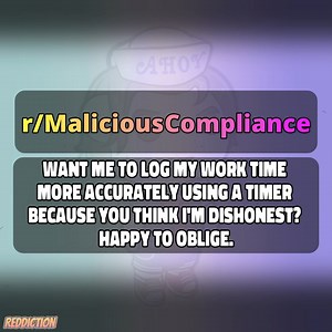 Want me to log my work time more accurately using a timer because you think I'm dishonest? Happy to oblige. | Reddiction