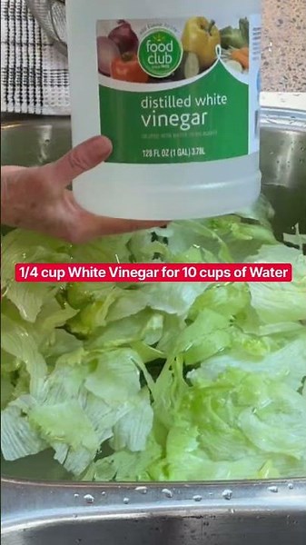 How to Wash & Store Lettuce & Other Veggies #cleanvegetables