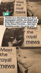 George may be the Pavilion’s most famous feline, but he wasn’t alone...meet Blanche, another Pavilion cat who was decidedly elegant, spoiled, and partial to the finer things in life! Remind you of anyone? Were you around to see the other Pavilion cats of the 1970s and ’80s? @top fans | Brighton Museums | Facebook
