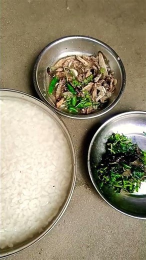 🙏🙏🙏🙏🙏🙏🙏❤️❤️❤️