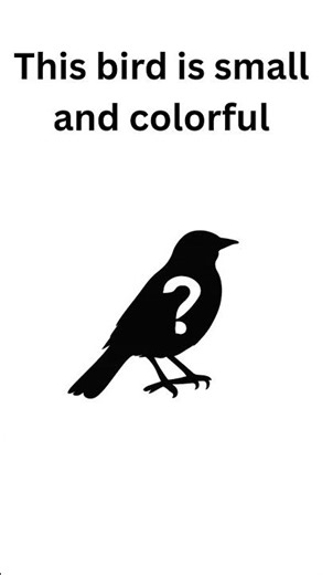Can you guess the bird in 60 Seconds? #bird #birds #guessinggame #guess #nature #nostalgia