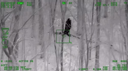 21K views · 171 reactions | A hunter who spent nearly 12 hours lost...