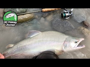 Pink Salmon fishing with a massive bonus catch!