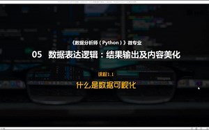 数据分析—数据可视化及案例研究实现