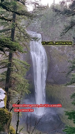 "peace of mind is the spring of life"