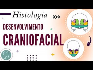 CRANIOFACIAL DEVELOPMENT