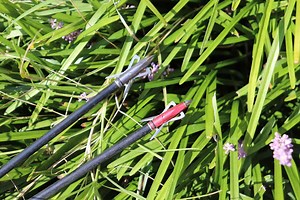 What Is The Average Weight Of An Arrow – BowAddicted