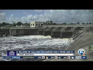 Latest Lake Okeechobee discharges spark outrage, protests