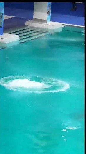 Perfect Diving Jump in Pool Clean Entry