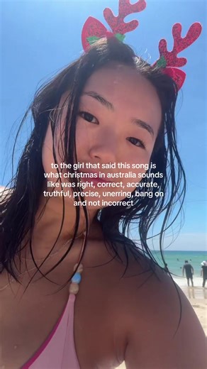 Seagull Attack Moment During Christmas