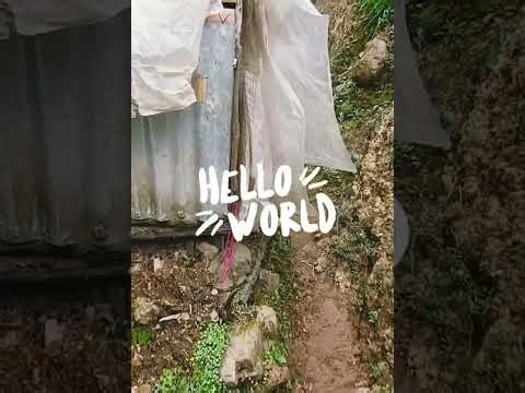 Ina kapam shim ukhrul khayang kharei vlog akha semhaosei nei ajava #