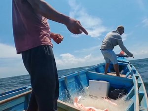 4.2K views · 72 reactions | meet red snapper fishing spots, jackpot fishing spot #fishing #pesca #fishingusa #fishinguk #fishinglife #fishingvideos | Zami Akbar | Facebook