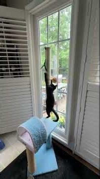This Sisal Cat Scratcher Doesn't Take Up Floor Space